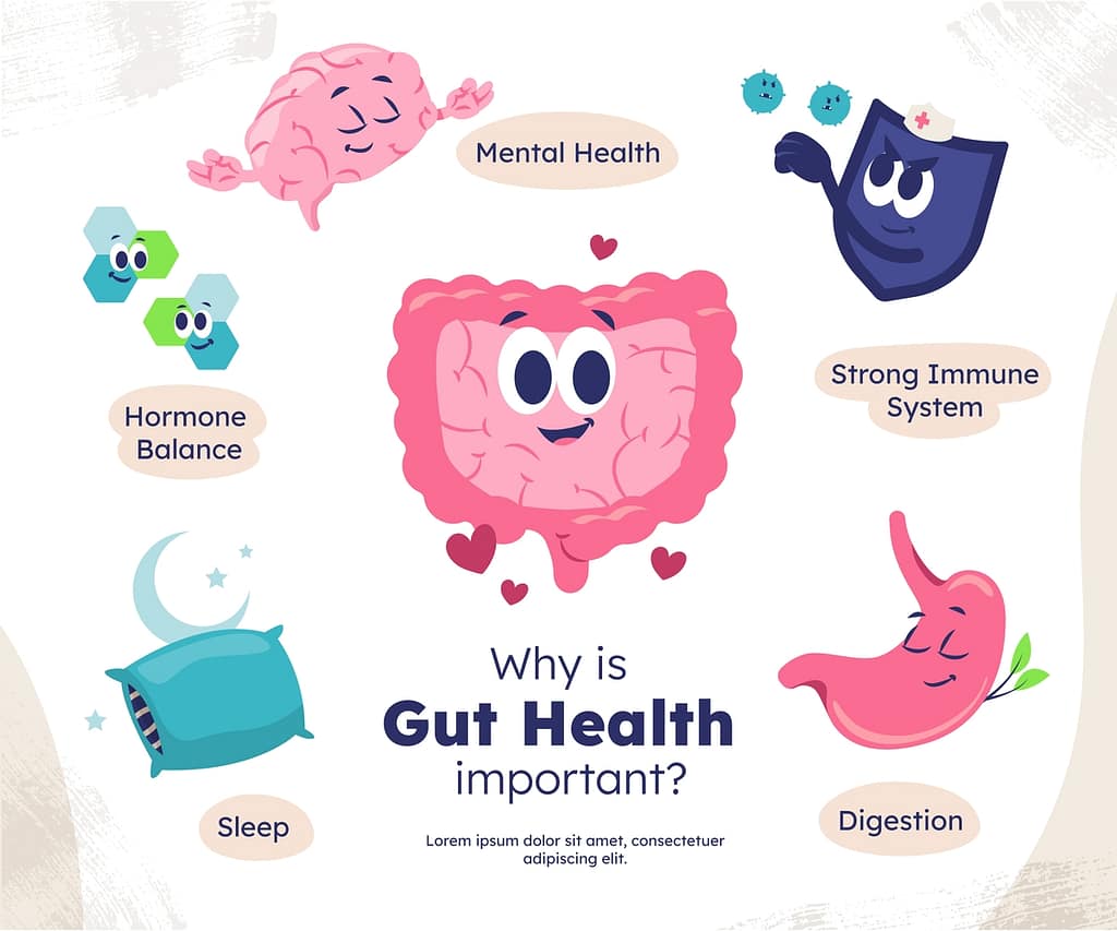 The Gut-Brain Axis and Wind Foundation in Thai Medicine: A Comparative Exploration